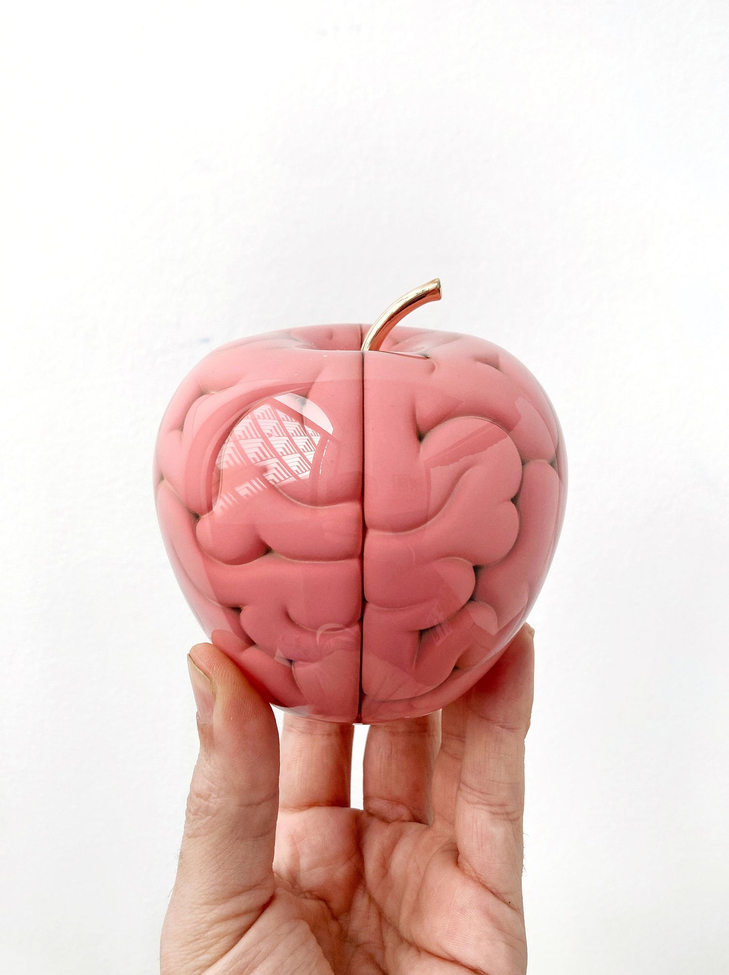 Emilio Garcia Forbidden Brain Antique Rose